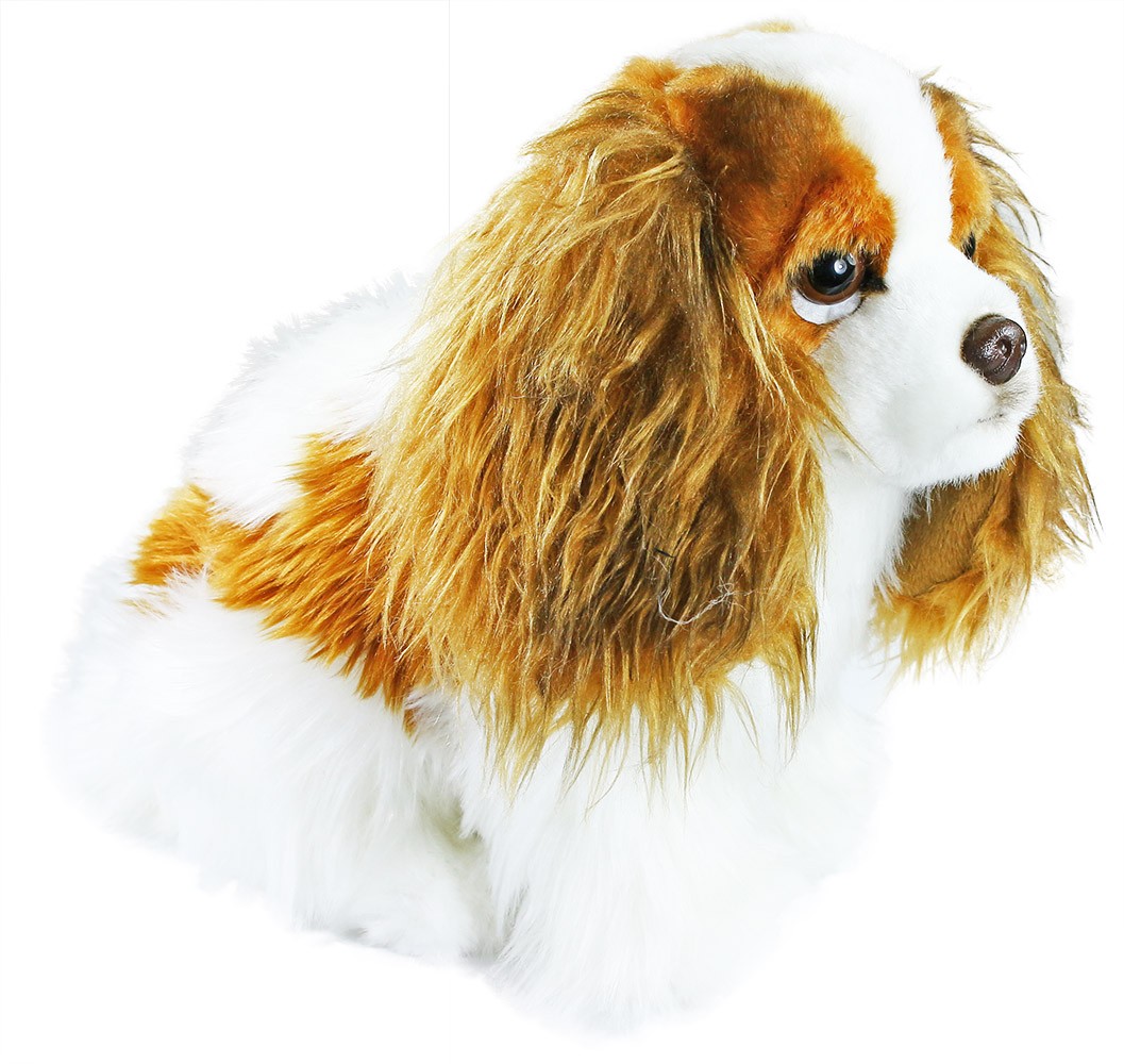 Plyšový pes King Charles 25 cm, ECO - Friendly