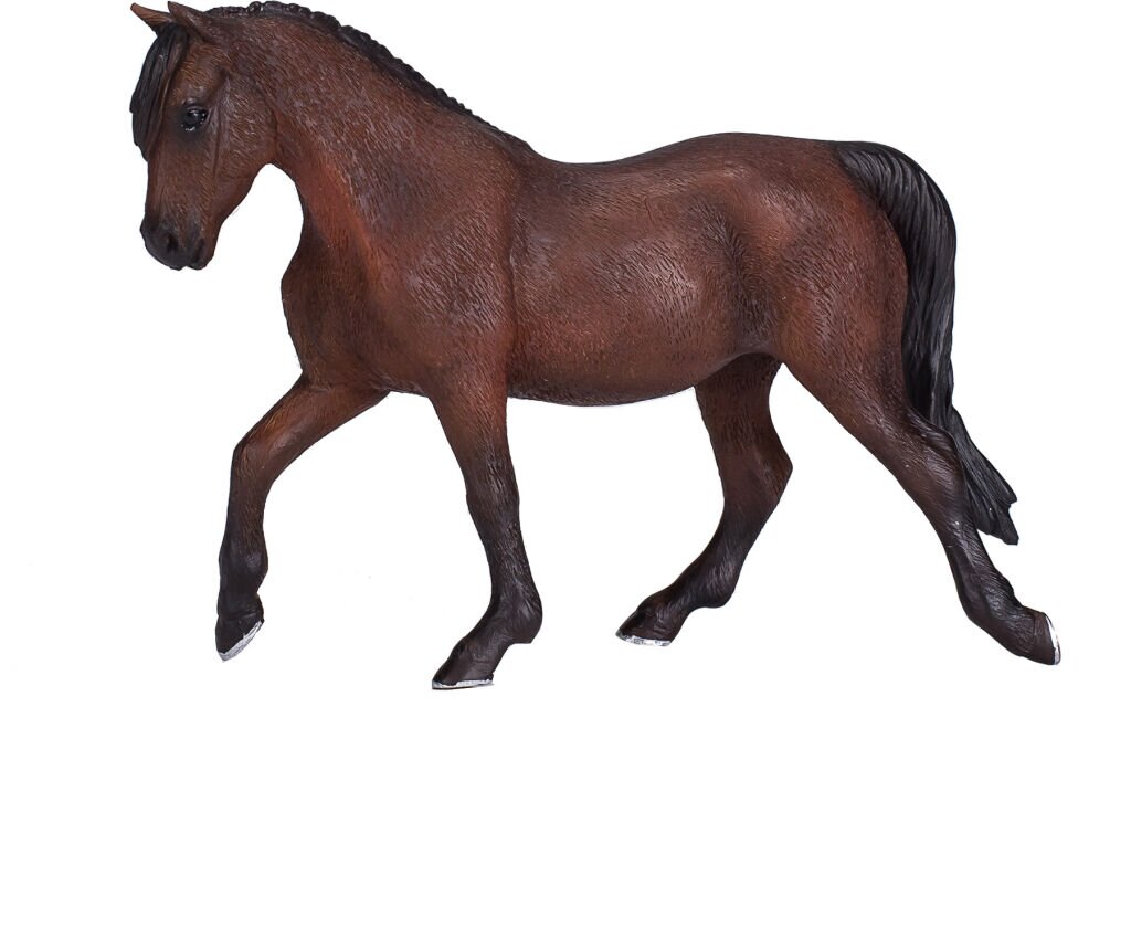 Animal Planet Kôň Morgan Palomino