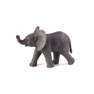 Mojo Slon africký mláďa