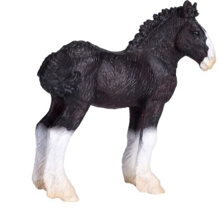Animal Planet žriebä Shire horse