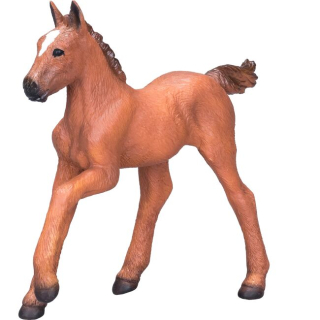 Mojo Arabské žriebä Chestnut